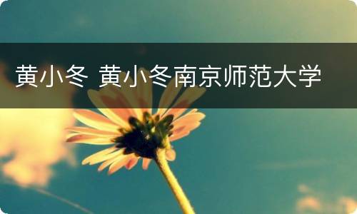 黄小冬 黄小冬南京师范大学