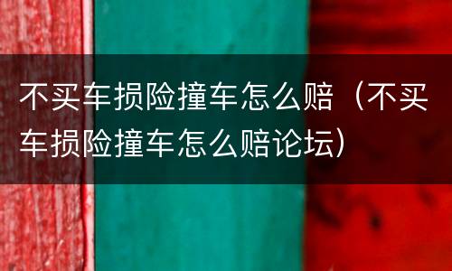 不买车损险撞车怎么赔（不买车损险撞车怎么赔论坛）