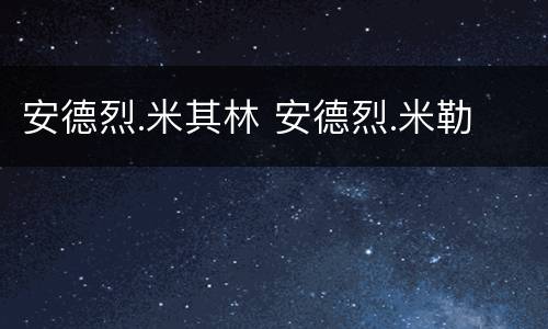 安德烈.米其林 安德烈.米勒