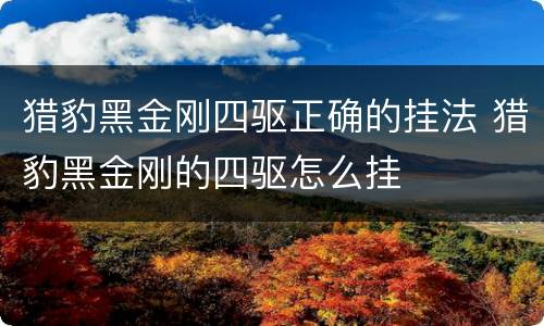 猎豹黑金刚四驱正确的挂法 猎豹黑金刚的四驱怎么挂