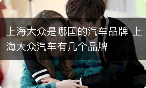 上海大众是哪国的汽车品牌 上海大众汽车有几个品牌