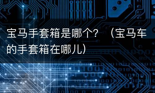 宝马手套箱是哪个？（宝马车的手套箱在哪儿）