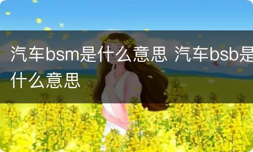 汽车bsm是什么意思 汽车bsb是什么意思