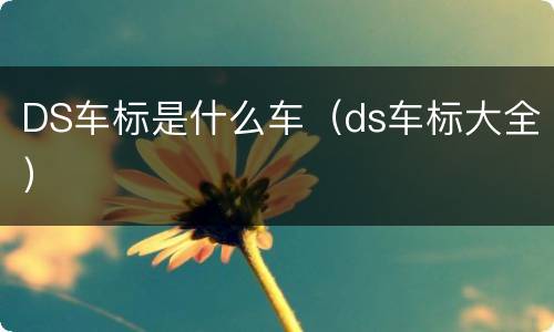 DS车标是什么车（ds车标大全）