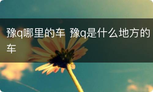 豫q哪里的车 豫q是什么地方的车