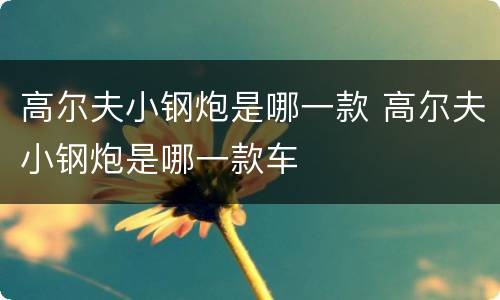 高尔夫小钢炮是哪一款 高尔夫小钢炮是哪一款车