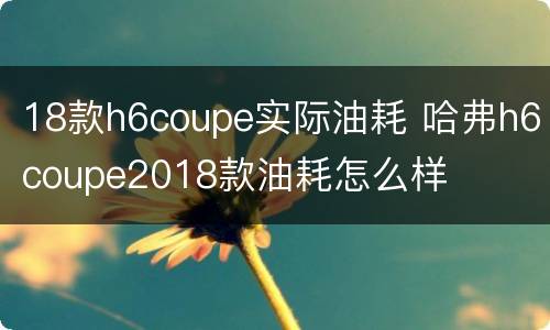 18款h6coupe实际油耗 哈弗h6coupe2018款油耗怎么样