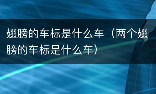 翅膀的车标是什么车（两个翅膀的车标是什么车）