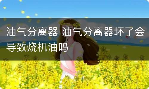 油气分离器 油气分离器坏了会导致烧机油吗
