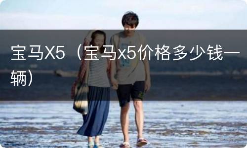 宝马X5（宝马x5价格多少钱一辆）