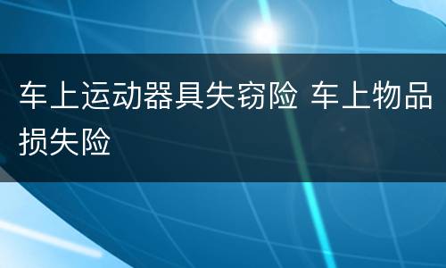 车上运动器具失窃险 车上物品损失险