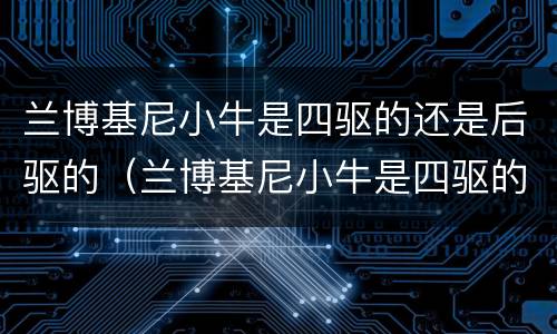 兰博基尼小牛是四驱的还是后驱的（兰博基尼小牛是四驱的还是后驱的车）