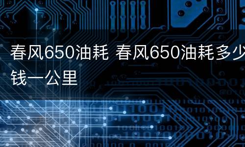 春风650油耗 春风650油耗多少钱一公里