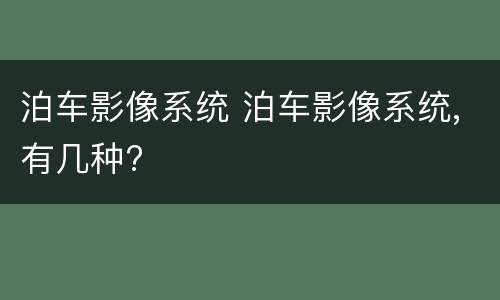 泊车影像系统 泊车影像系统,有几种?