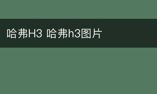 哈弗H3 哈弗h3图片