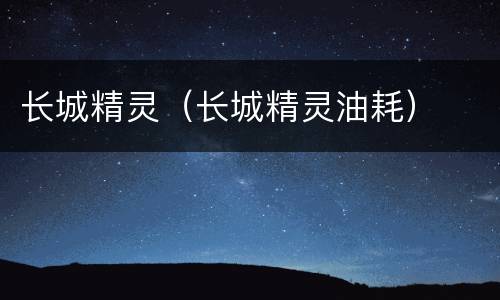 长城精灵（长城精灵油耗）