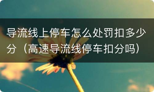 导流线上停车怎么处罚扣多少分（高速导流线停车扣分吗）