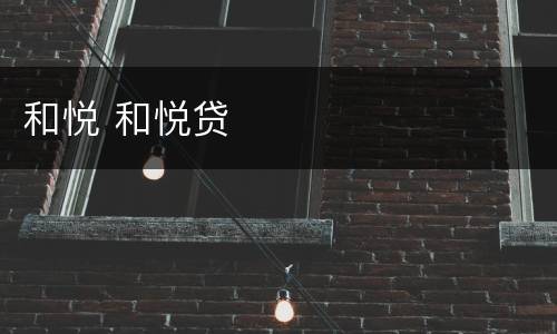 和悦 和悦贷