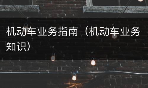 机动车业务指南（机动车业务知识）