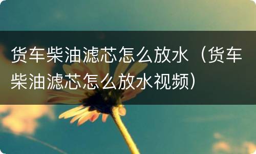 货车柴油滤芯怎么放水（货车柴油滤芯怎么放水视频）