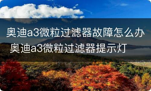 奥迪a3微粒过滤器故障怎么办 奥迪a3微粒过滤器提示灯