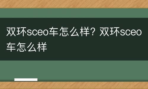 双环sceo车怎么样? 双环sceo车怎么样