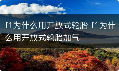f1为什么用开放式轮胎 f1为什么用开放式轮胎加气