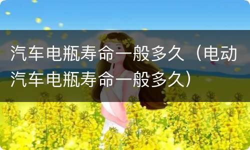 汽车电瓶寿命一般多久（电动汽车电瓶寿命一般多久）