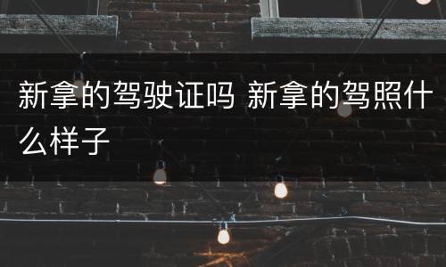 新拿的驾驶证吗 新拿的驾照什么样子