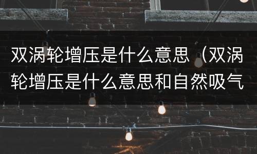 双涡轮增压是什么意思（双涡轮增压是什么意思和自然吸气哪个好）