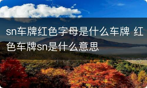 sn车牌红色字母是什么车牌 红色车牌sn是什么意思