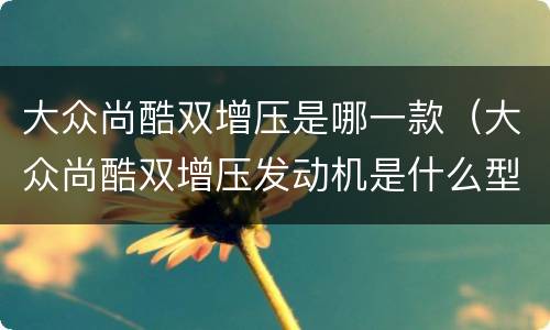 大众尚酷双增压是哪一款（大众尚酷双增压发动机是什么型号）