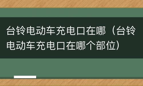 台铃电动车充电口在哪（台铃电动车充电口在哪个部位）