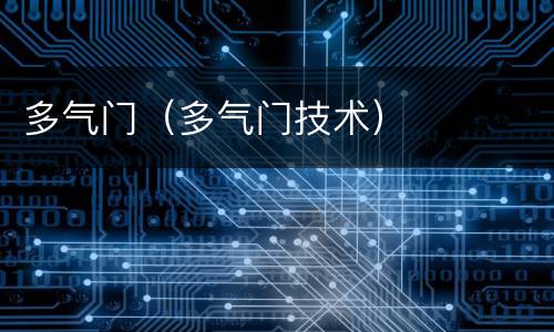 多气门（多气门技术）