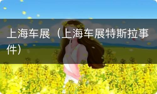 上海车展（上海车展特斯拉事件）