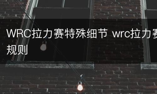 WRC拉力赛特殊细节 wrc拉力赛规则
