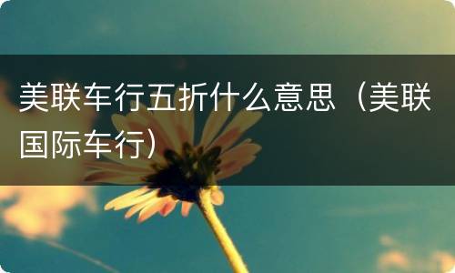 美联车行五折什么意思（美联国际车行）