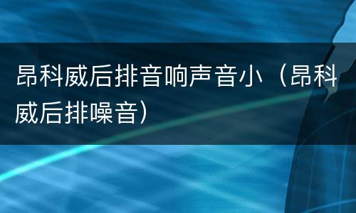 昂科威后排音响声音小（昂科威后排噪音）