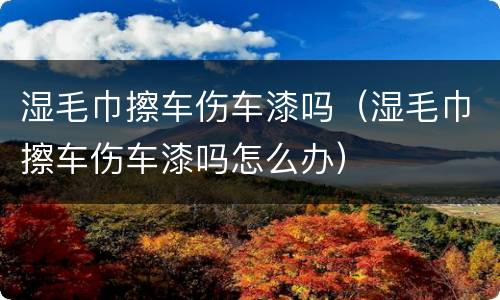 湿毛巾擦车伤车漆吗（湿毛巾擦车伤车漆吗怎么办）