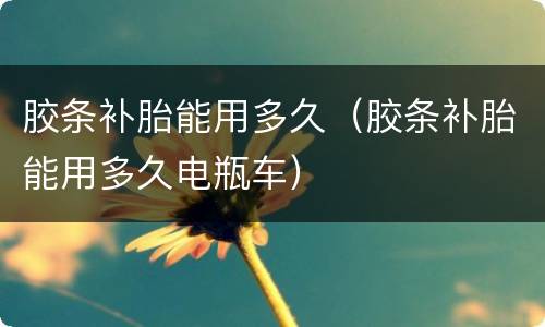 胶条补胎能用多久（胶条补胎能用多久电瓶车）
