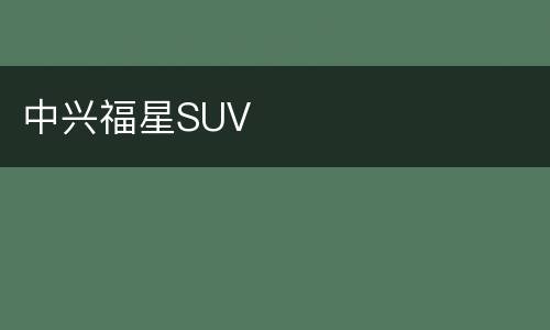 中兴福星SUV