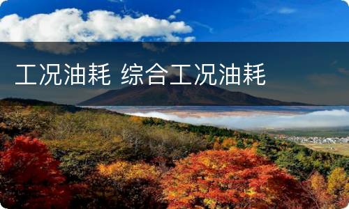 工况油耗 综合工况油耗