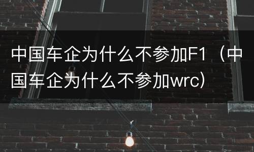 中国车企为什么不参加F1（中国车企为什么不参加wrc）