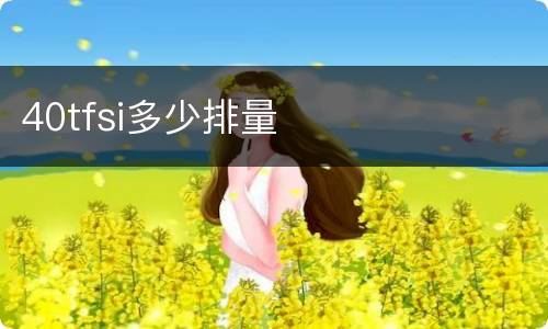40tfsi多少排量