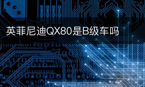 英菲尼迪QX80是B级车吗