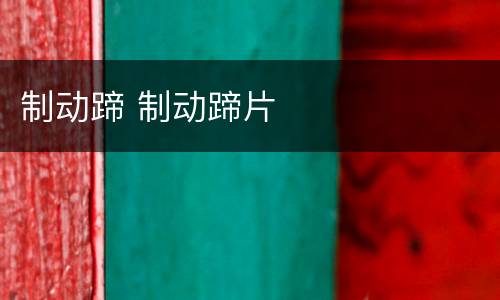 制动蹄 制动蹄片