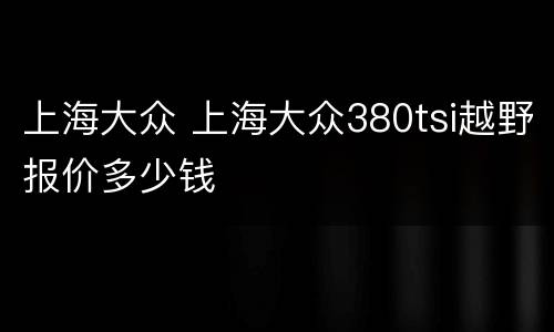 上海大众 上海大众380tsi越野报价多少钱