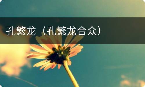 孔繁龙（孔繁龙合众）