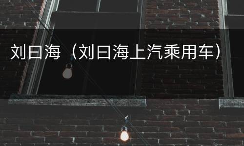 刘曰海（刘曰海上汽乘用车）