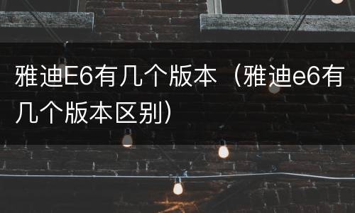 雅迪E6有几个版本（雅迪e6有几个版本区别）